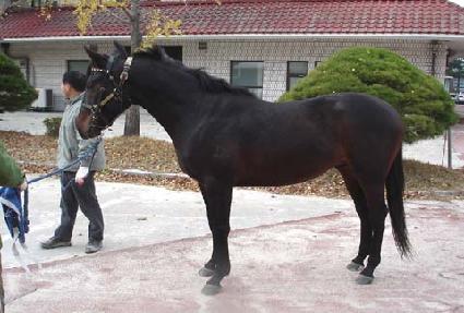 �������� ����