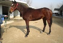 �ƿ����� (OUR DANCE) ����