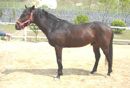 �ݺ��� ����