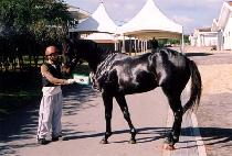 �ݷμ��� (COLOSSEUM) ����