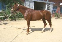 ������� (SANBANG CHUKJE) ����