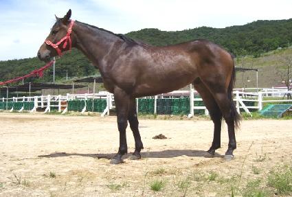 �������� ����