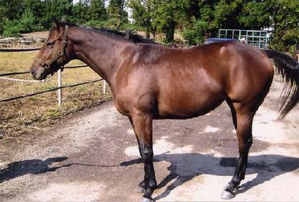 ť�ǵ幮 ����