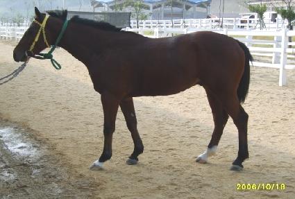 �����è�Ǿ� ����