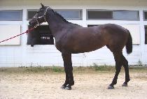 ���濩�� (DONGBANG YEOGEOL) ����