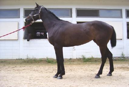 ���濩�� ����