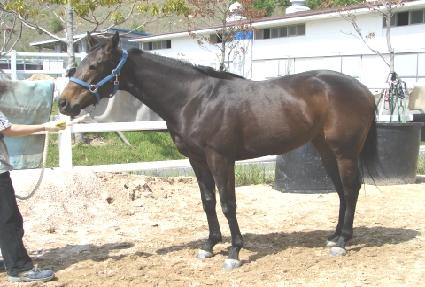 ���ǿ��� ����