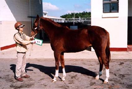 �극���Ϸ��̵��ڸ� ����