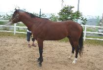 �������߽� (SESANGUI JUNGSIM) ����