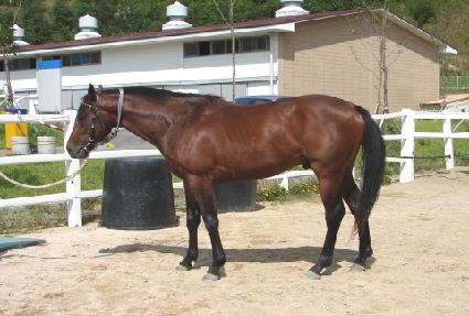 õ���̺� ����