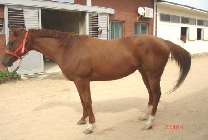 ���ۻ�� ����