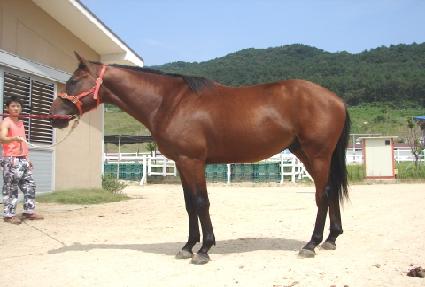 �ѳ��뱳 ����