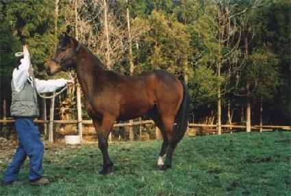 ��ǳ���� ����