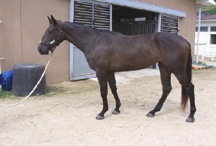 �������� ����