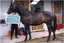 ���ϵ��� (UGILDONGJA) ����