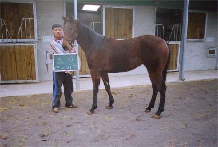 ��ȭ ����