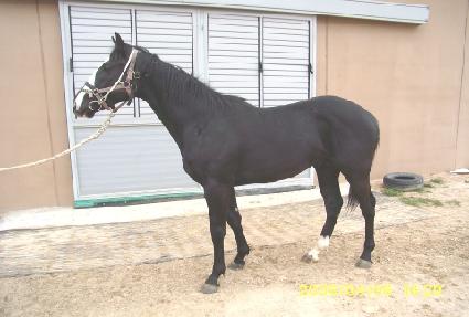 ������� ����