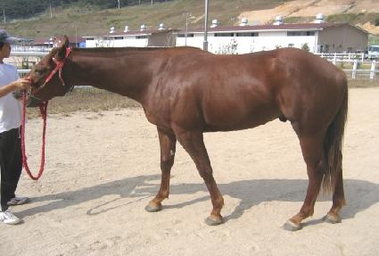 �Ҳ���ȥ ����