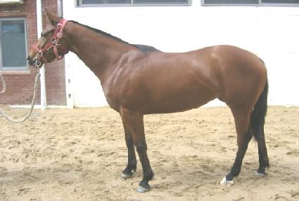 ���� ����