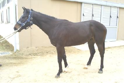 ����ȭ�� ����