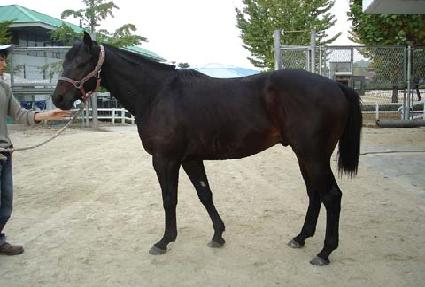 ûõ���� ����