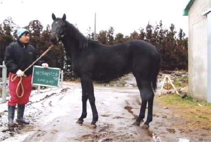 ������ ����