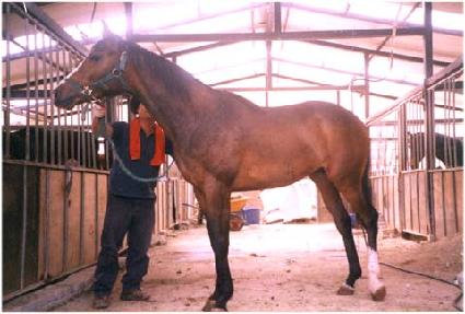 ��ĥ�� ����