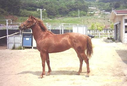 ǳ����ȭ ����