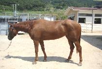 �뼺���� (DAESEONG GONGJU) ����