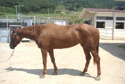 �뼺���� ����