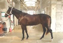 ����뱺 (SEONGSAN DAEGUN) ����