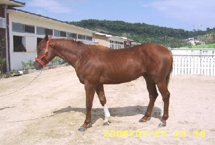 �ͺ��Ŀ� ����