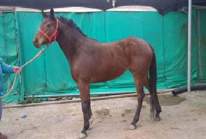 ��Ʈ�� ����