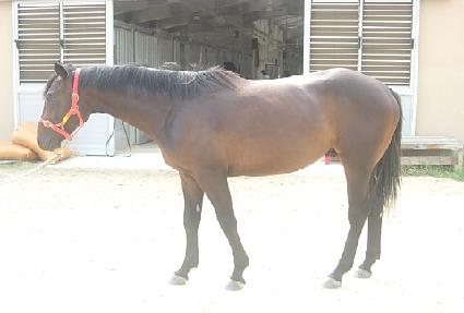 ŷ����Ŀ ����