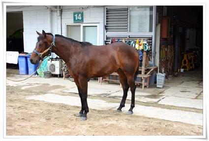 ������ ����