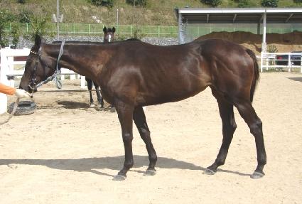 ����� ����