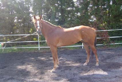 �����ְ� ����