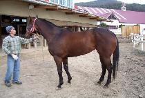 JISANG DEUNGGEUK picture