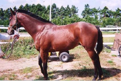 �ҵ��� ����