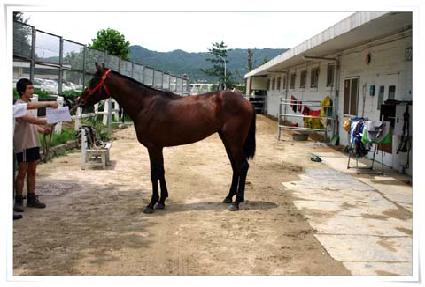 ������ĸƾ ����