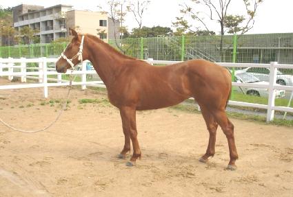 �ָ�õ�� ����