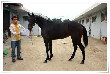 ���� ����