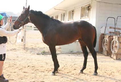 �������� ����