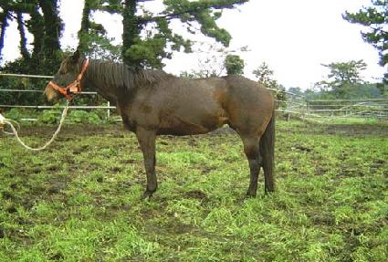 �츮�ٴ� ����