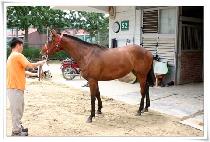 �Ÿ��� (SINMAENNYU) ����