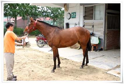 �Ÿ��� ����