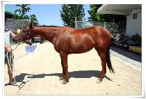 ���̿�Ʈ�� (I WANT WIN) ����