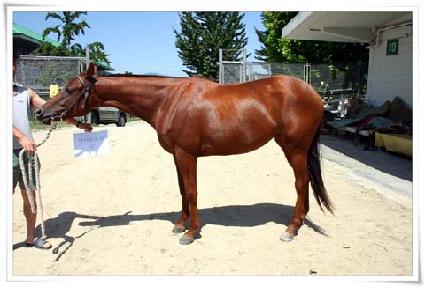 ���̿�Ʈ�� ����