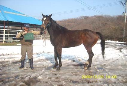 �ϴ�õ�� ����