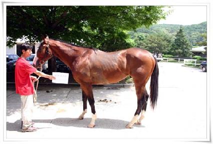 ���������� ����